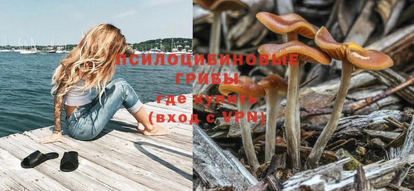 гидра Белокуриха