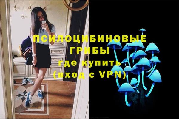 гидра Белокуриха