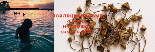 эйфоретик Беломорск