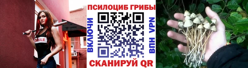 Псилоцибиновые грибы GOLDEN TEACHER Куйбышев